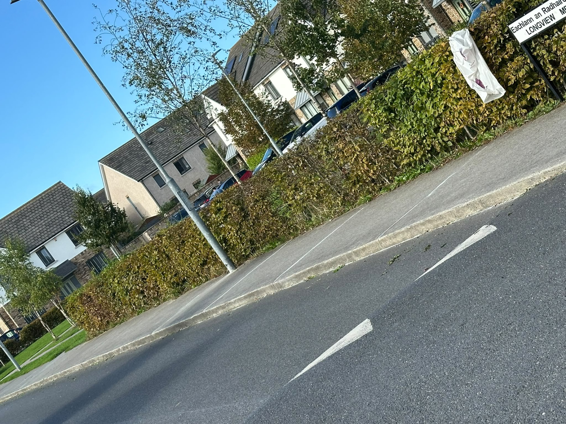 Hedges trimmed by Longview Mews