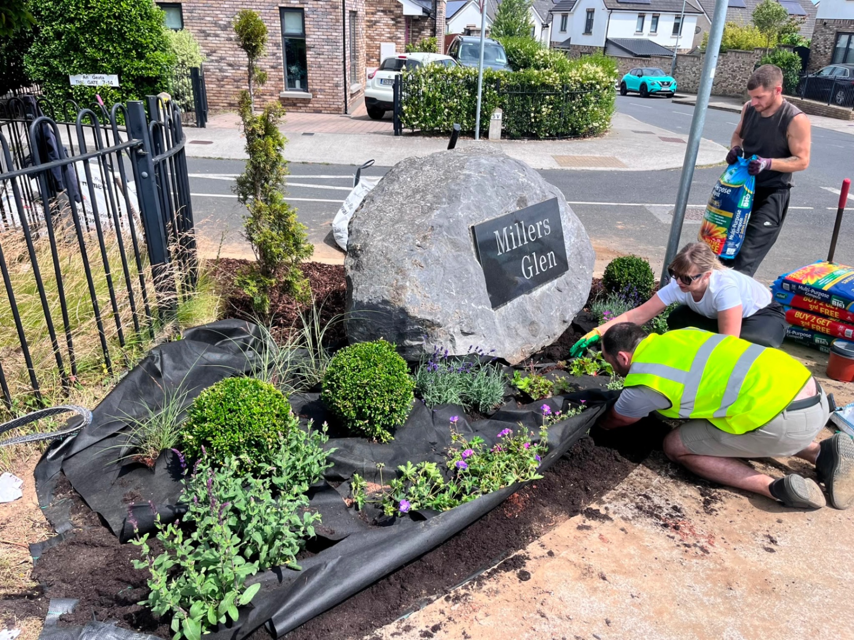Planting up the entrance bed