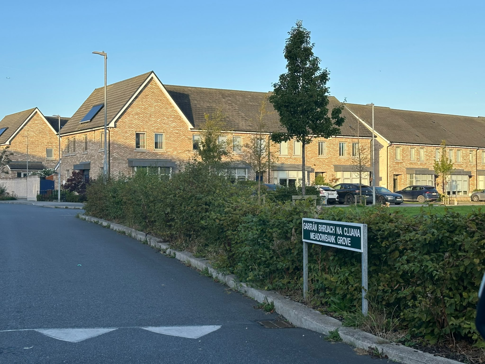 Hedge line along Meadowbank Grove