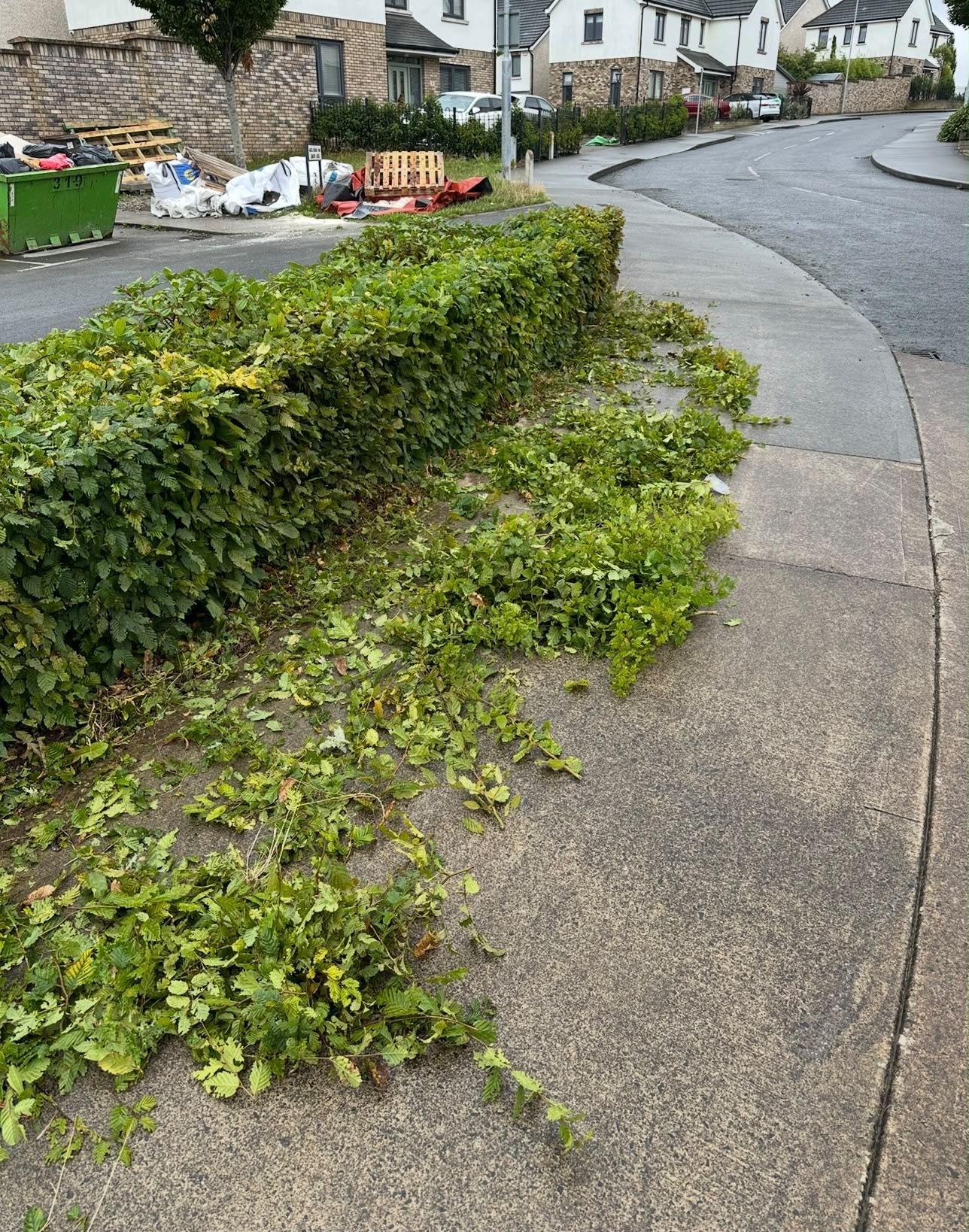 Hedges cut back along the footpath